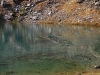 lac-de-la-balmette-10-2012-036